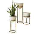GLOBAL VIEWS WISE EGG - Decorative Accents