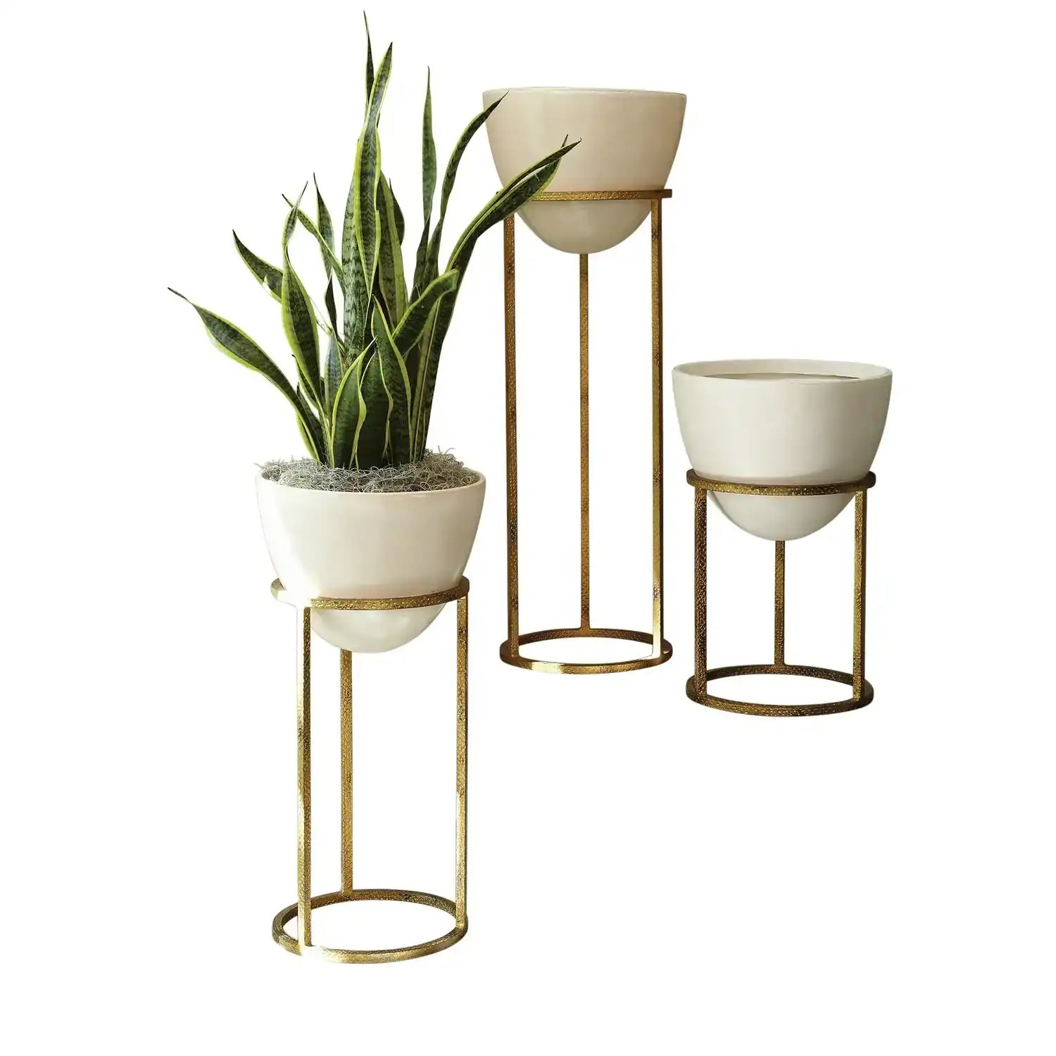 GLOBAL VIEWS WISE EGG - Decorative Accents