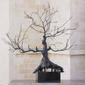 GLOBAL VIEWS IMPERIAL PENZAI - Decorative Accents