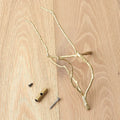 GLOBAL VIEWS S/6 FOLEY'S FOLLIE - Decorative Accents