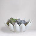 GLOBAL VIEWS GINGERLEAF BOWL - Decorative Accents