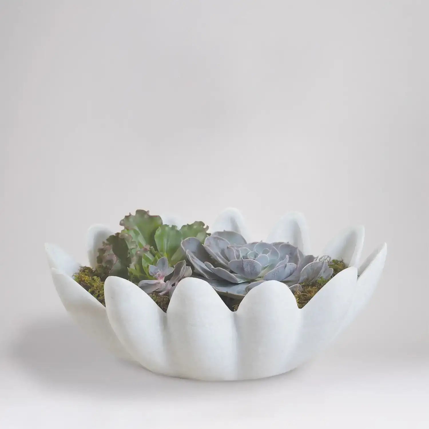 GLOBAL VIEWS GINGERLEAF BOWL - Decorative Accents