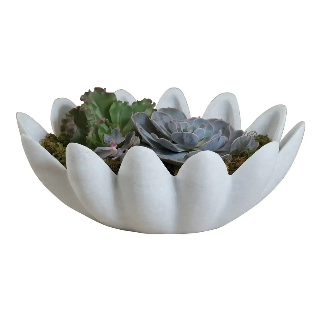 GLOBAL VIEWS GINGERLEAF BOWL - Decorative Accents
