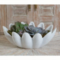 GLOBAL VIEWS GINGERLEAF BOWL - Decorative Accents