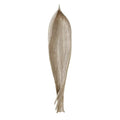 GLOBAL VIEWS PALM SEED POD - Decorative Accents