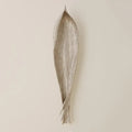GLOBAL VIEWS PALM SEED POD - Decorative Accents