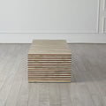 GLOBAL VIEWS SIENNA COFFEE TABLE - Coffee