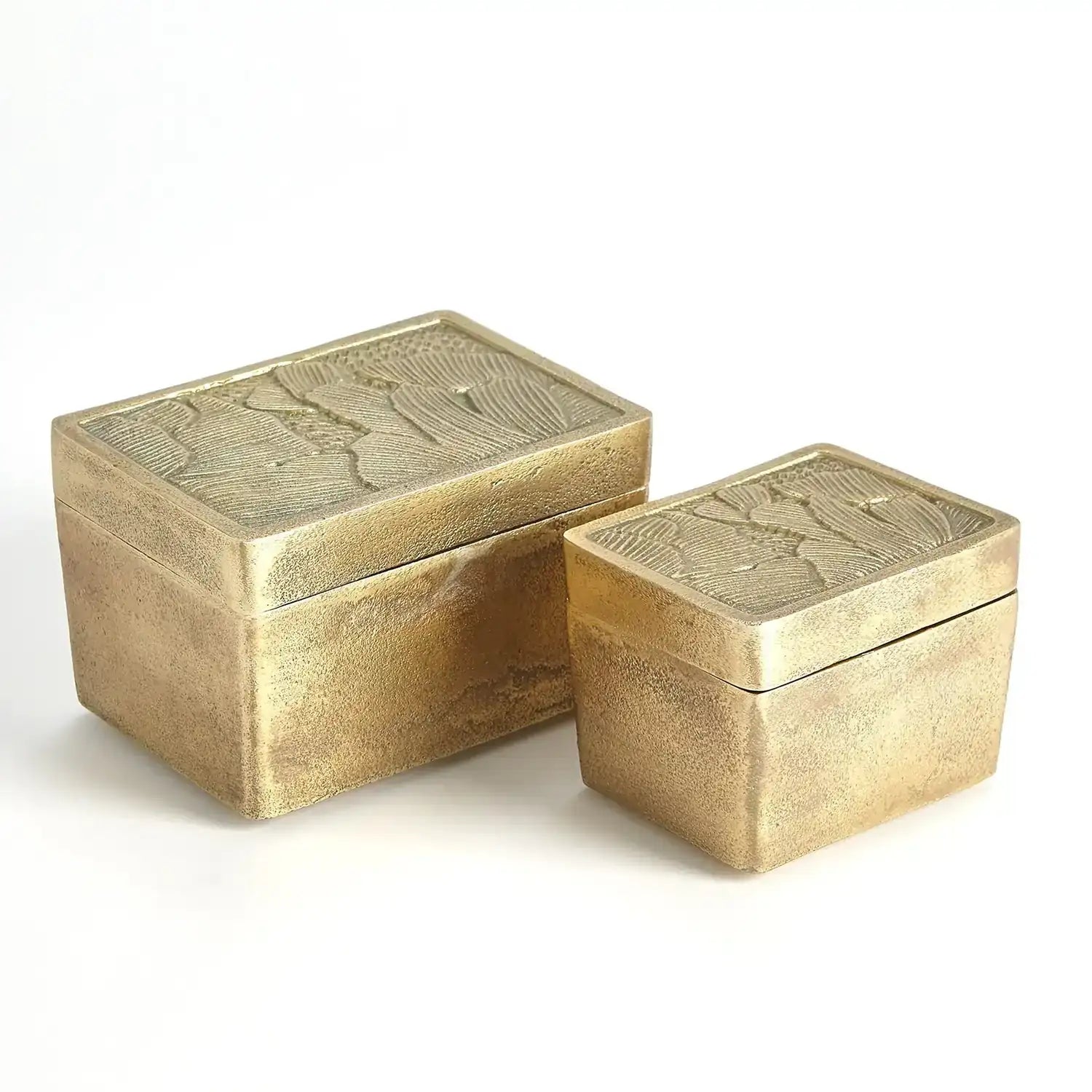 GLOBAL VIEWS FLORA BOX - Decorative Accents