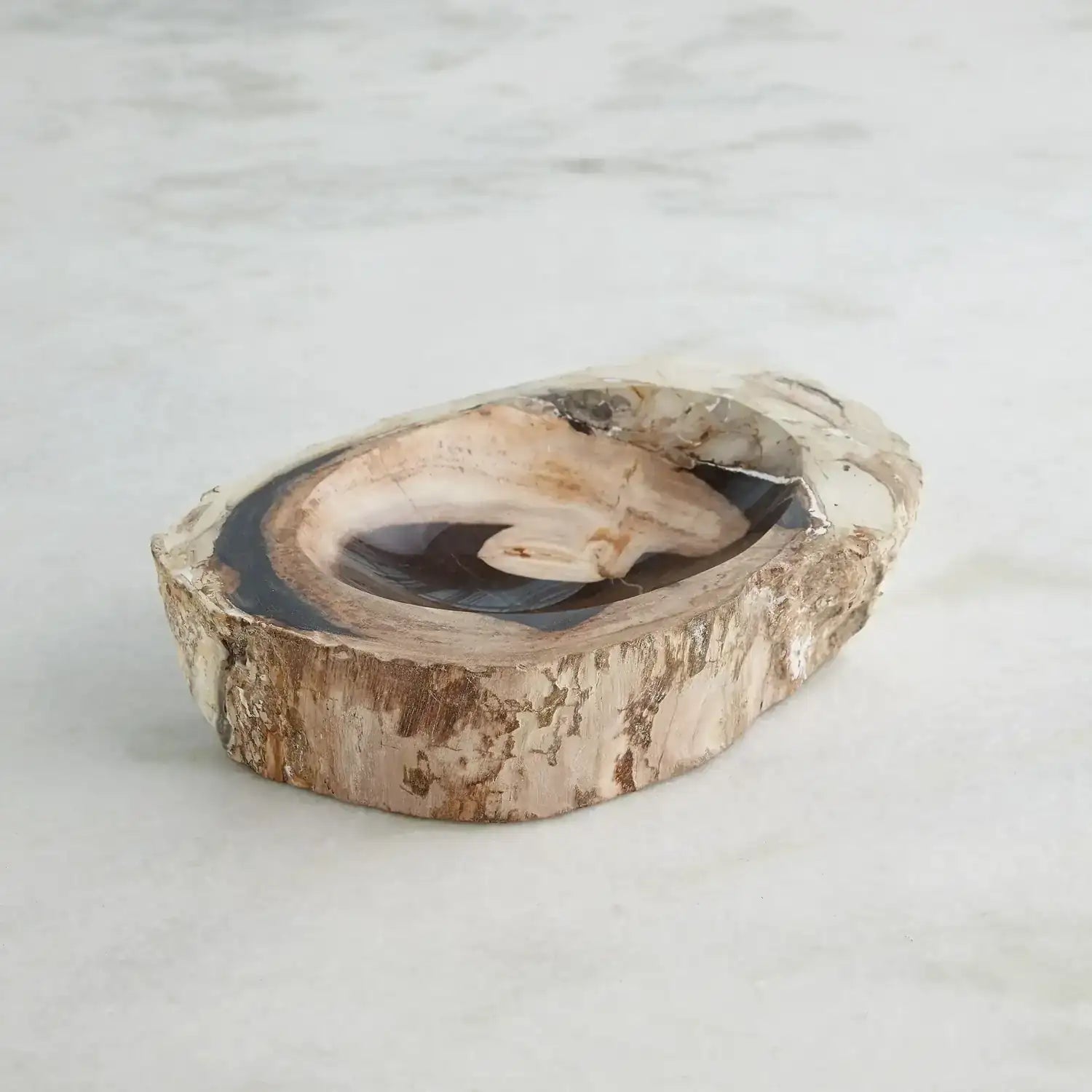 GLOBAL VIEWS PETRIFIED BOWL - Decorative Accents