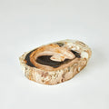 GLOBAL VIEWS PETRIFIED BOWL - Decorative Accents