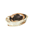 GLOBAL VIEWS PETRIFIED BOWL - Decorative Accents