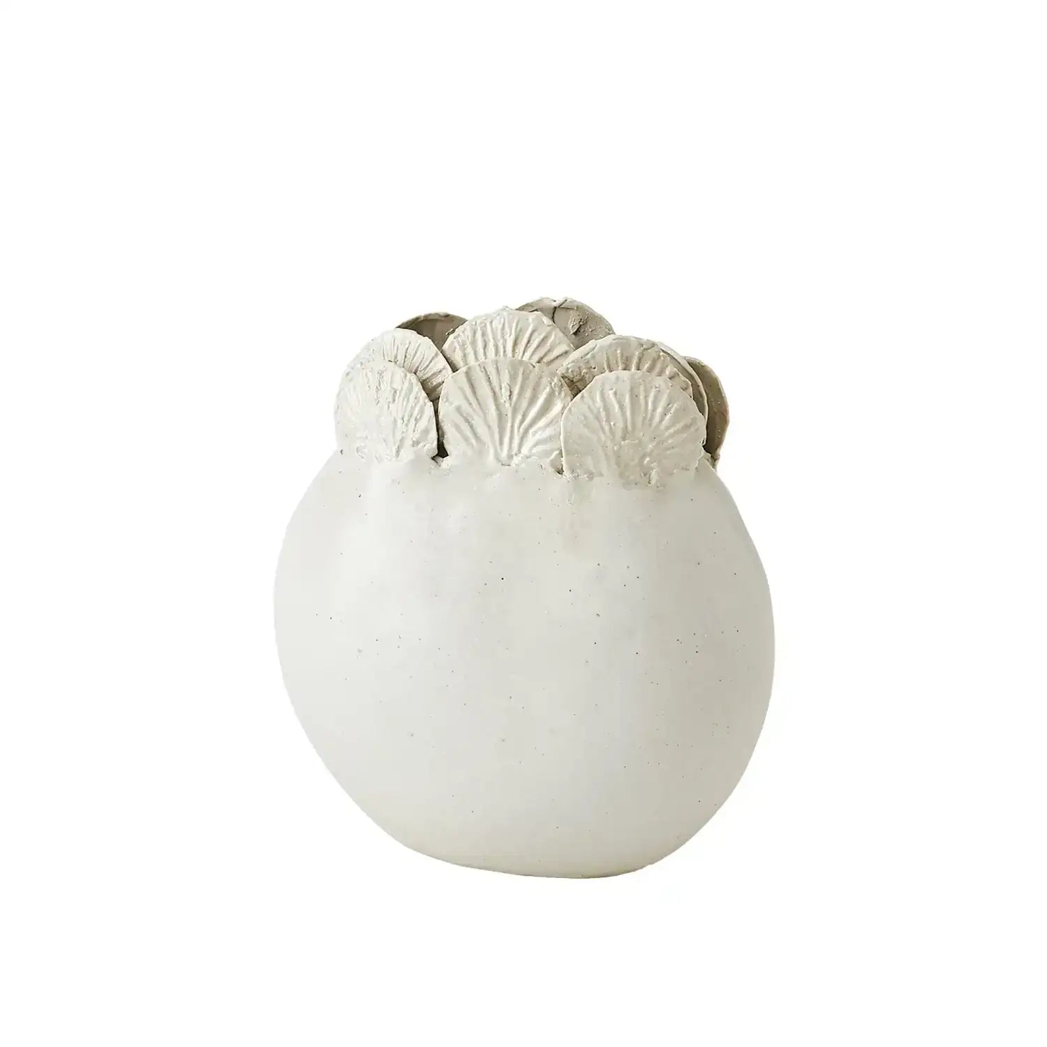 GLOBAL VIEWS SAND DOLLAR VASE - Decorative Accents