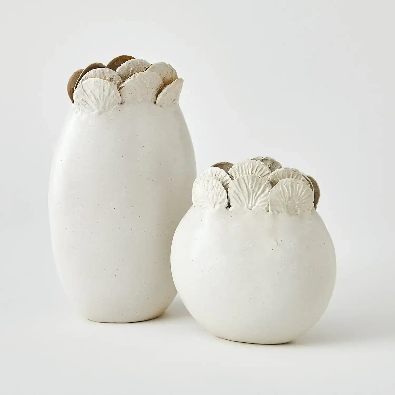 GLOBAL VIEWS SAND DOLLAR VASE - Decorative Accents