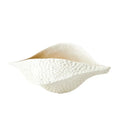 GLOBAL VIEWS PORCELAIN POD - Decorative Accents