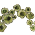 GLOBAL VIEWS FREE FORMED LILY PLATE - Decorative Accents
