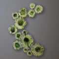 GLOBAL VIEWS FREE FORMED LILY PLATE - Decorative Accents