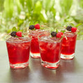 GLOBAL VIEWS S/4 HAMMERED DOF GLASSES - Decorative Accents