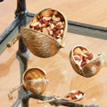 GLOBAL VIEWS CHESTNUT BOWL - Decorative Accents