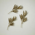 GLOBAL VIEWS MANGO LEAVES WALL DECOR - Decorative Accents