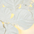 GLOBAL VIEWS, FIDDLE FIG LIGHTED WALL DECOR, WALL SCONCES