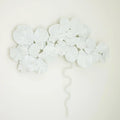 GLOBAL VIEWS, FIDDLE FIG LIGHTED WALL DECOR, WALL SCONCES