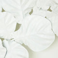 GLOBAL VIEWS, FIDDLE FIG LIGHTED WALL DECOR, WALL SCONCES