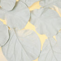 GLOBAL VIEWS, FIDDLE FIG LIGHTED WALL DECOR, WALL SCONCES