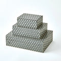 GLOBAL VIEWS INTERWOVEN BOX - Decorative Accents