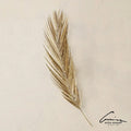 GLOBAL VIEWS PALM LEAF - Decorative Accents