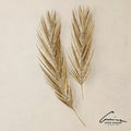 GLOBAL VIEWS PALM LEAF - Decorative Accents