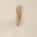 GLOBAL VIEWS PALM LEAF - Decorative Accents