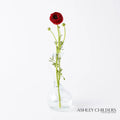 GLOBAL VIEWS CLEAR RING FLOWER VASE - DO NOT SHOW ON WEBSITE