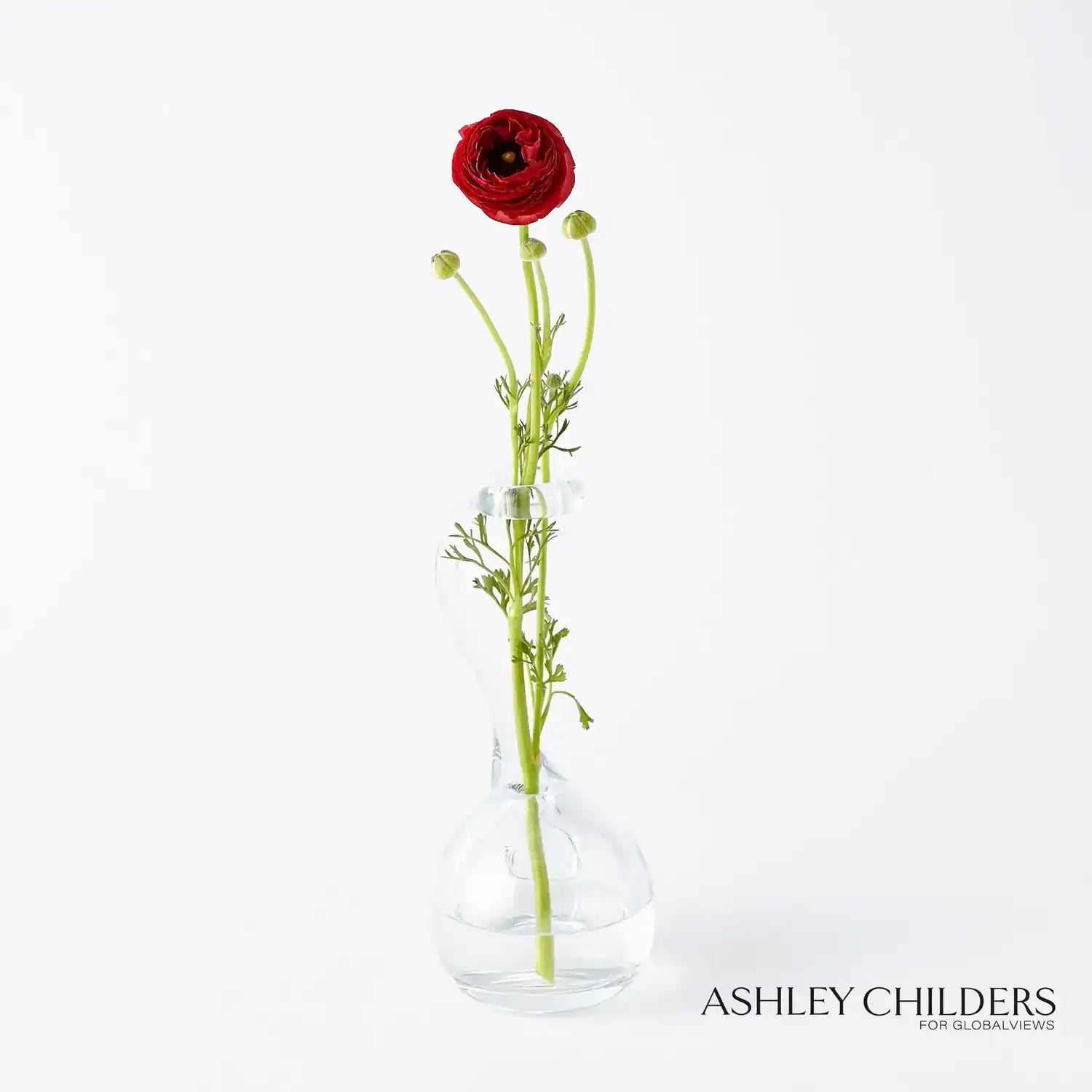 GLOBAL VIEWS CLEAR RING FLOWER VASE - DO NOT SHOW ON WEBSITE
