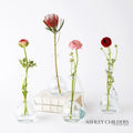 GLOBAL VIEWS CLEAR RING FLOWER VASE - DO NOT SHOW ON WEBSITE
