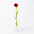 GLOBAL VIEWS CLEAR RING FLOWER VASE - DO NOT SHOW ON WEBSITE