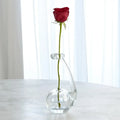 GLOBAL VIEWS CLEAR RING FLOWER VASE - DO NOT SHOW ON WEBSITE