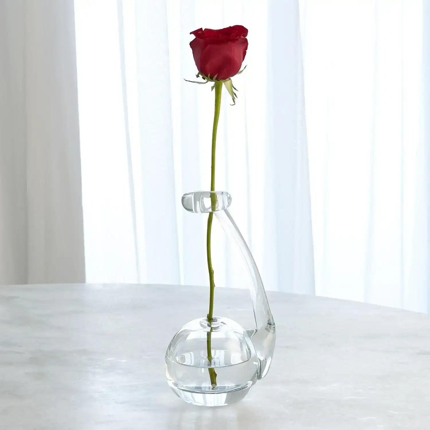 GLOBAL VIEWS CLEAR RING FLOWER VASE - DO NOT SHOW ON WEBSITE