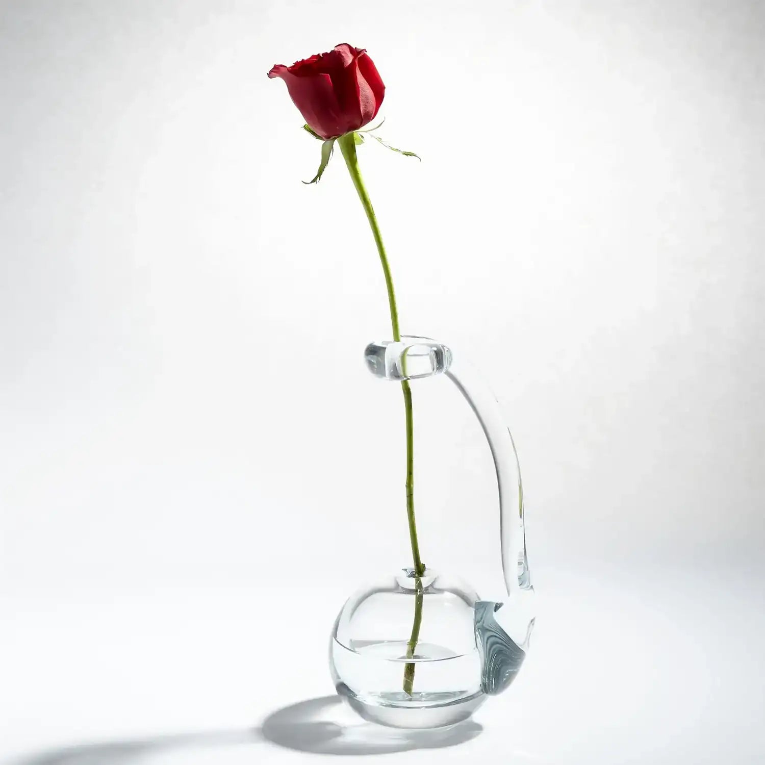 GLOBAL VIEWS CLEAR RING FLOWER VASE - DO NOT SHOW ON WEBSITE