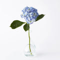 GLOBAL VIEWS CLEAR RING FLOWER VASE - DO NOT SHOW ON WEBSITE