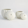 GLOBAL VIEWS SPICCHI LINE BOWL W/LID - Decorative Accents