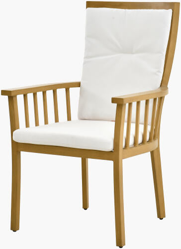 SURYA CAPE TOWN DINING CHAIR - Dining Chairs