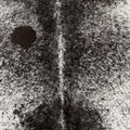 SURYA EASTON HANDMADE RUG - Rugs