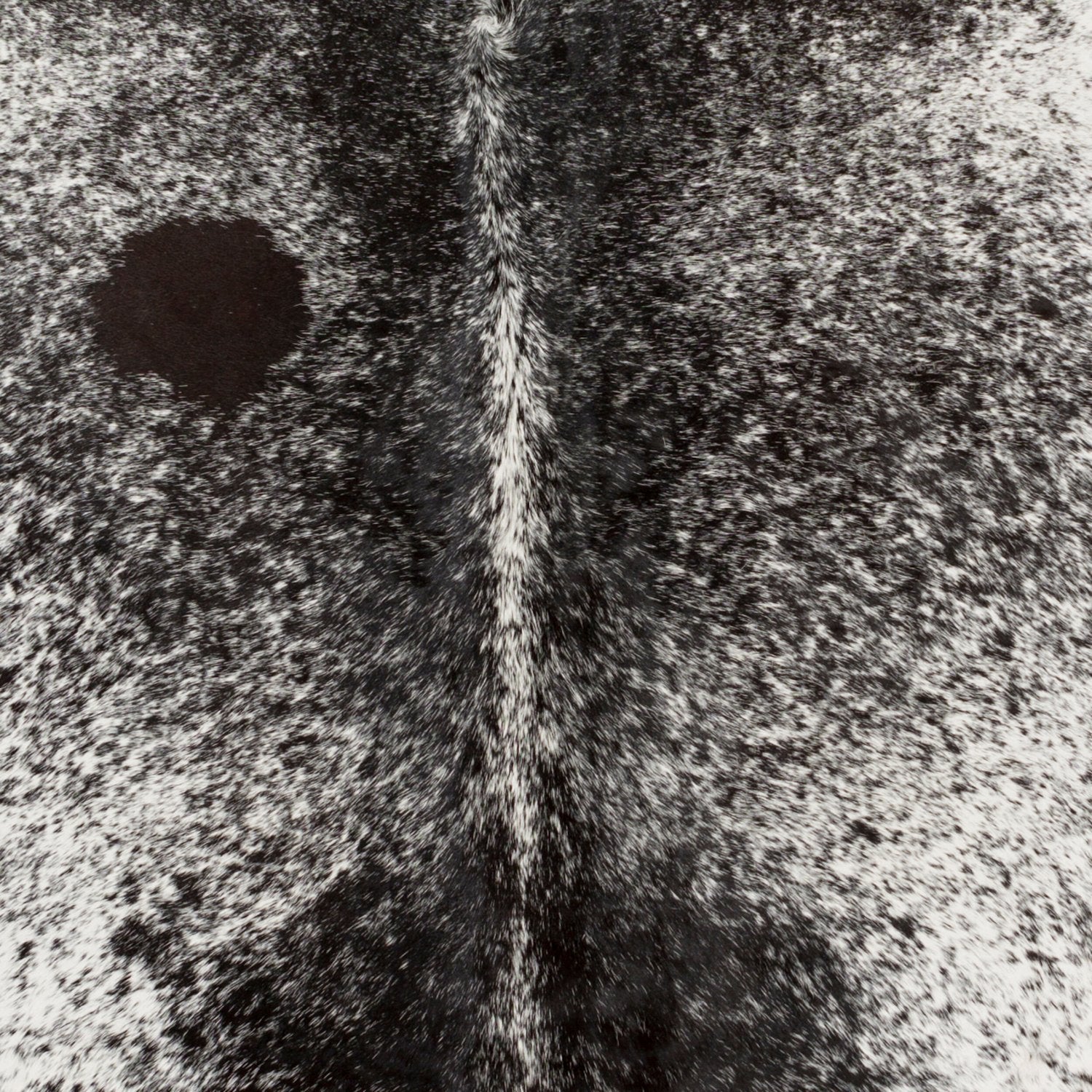 SURYA EASTON HANDMADE RUG - Rugs