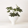 GLOBAL VIEWS CHACO BOWL - Decorative Accents