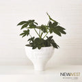 GLOBAL VIEWS CHACO BOWL - Decorative Accents