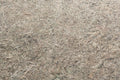 SURYA PREMIUM FELTED PAD RUG PAD FOR HARD SURFACES AND CARPET - Rugs