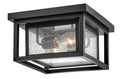 HINKLEY REPUBLIC FLUSH MOUNT - Ceiling