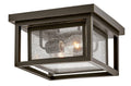 HINKLEY REPUBLIC FLUSH MOUNT - Ceiling