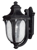 HINKLEY, TRAFALGAR OUTDOOR WALL LIGHT, OUTDOOR WALL LIGHTS