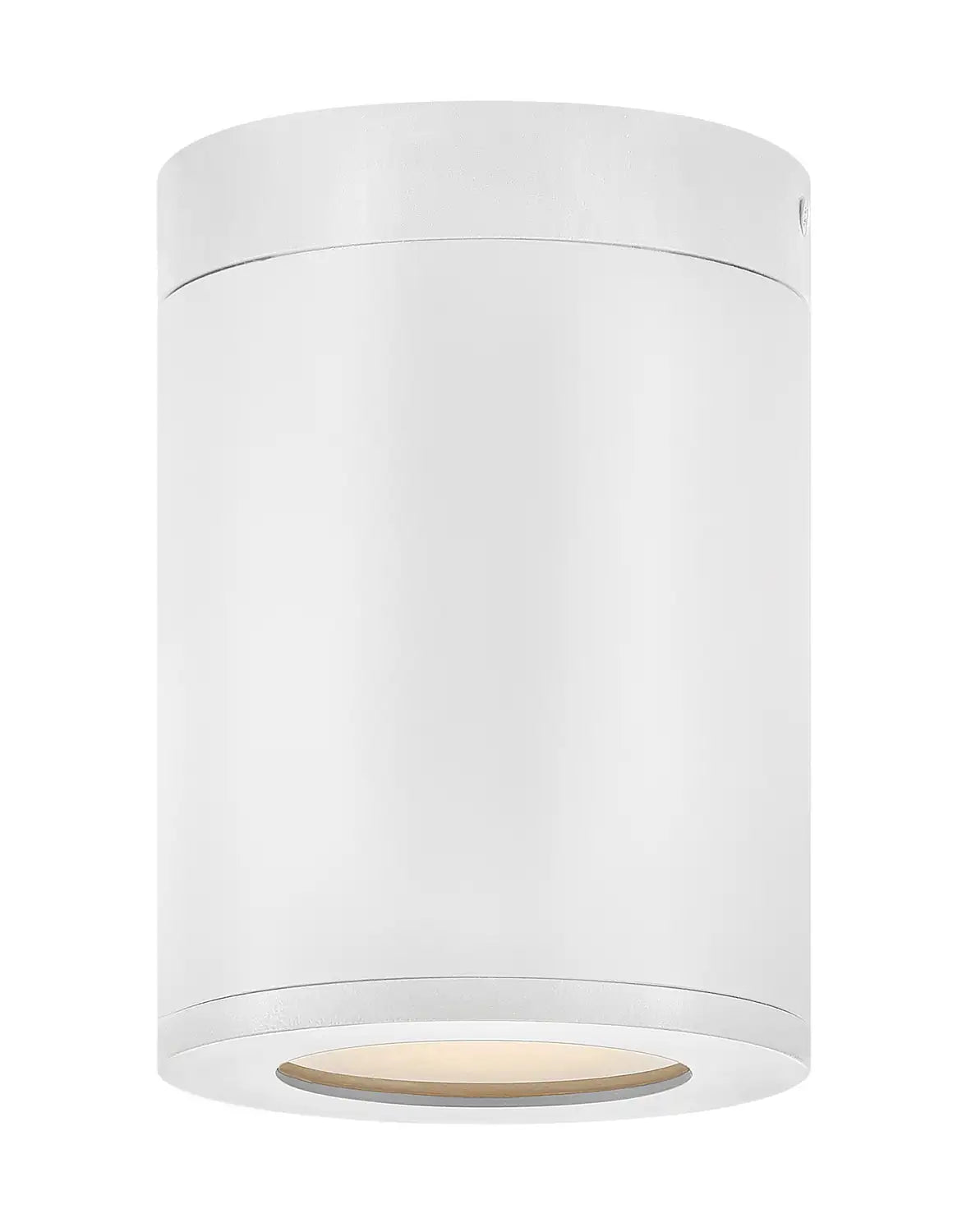 HINKLEY, SILO FLUSH MOUNT, OUTDOOR CEILING LIGHTS